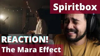 MINDBLOWING! Musician's FIRST TIME REACTION to Spiritbox - The Mara Effect (Live)