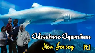 Visit the Aquarium in New Jersey 🇺🇸 with us #viral 💯🇯🇲💞