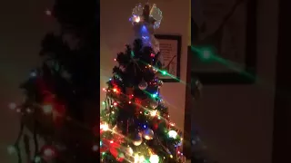 Haydon Christmas Tree - 2017