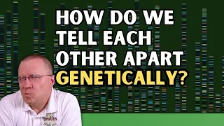 If Humans Share 100% DNA, How Do We Tell Each Other Apart Genetically?