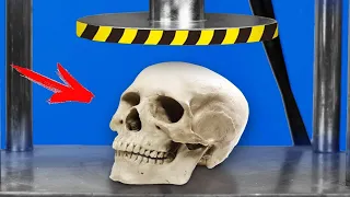 Experiment: Hydraulic Press Vs Skull