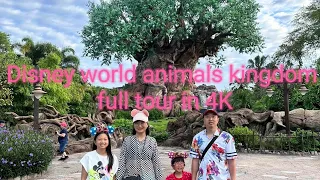 Disney world animals kingdom full tour in 4K.