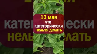 13 мая народный праздник день Якова Теплого. Что нельзя делать. Народные приметы традиции и суеверия