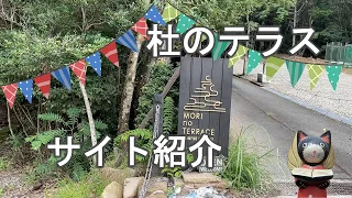 杜のテラスサイト紹介！関西で人気のキャンプ場【ソロキャンプ番外編】