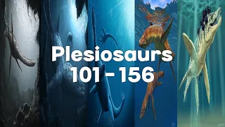 Plesiosaurs 101 - 156 [3/3]