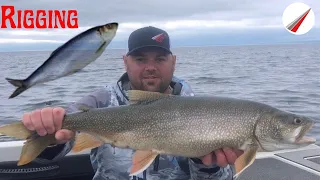 Rigging Herring For Lake Trout