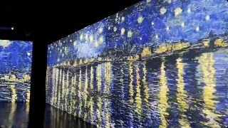 Starry night over the Rhone 罗纳河上的星夜