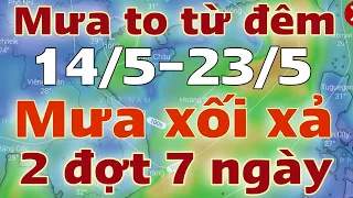 Dự báo thời tiết mới nhất hôm nay và ngày mai 15/5/2024 | thời tiết 7 ngày tới | tin bão mới nhất