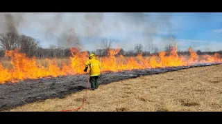 Prescribed burn at Kankakee Sands, Wilmington IL. 3-8-2023