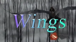 HTTYD|| Wings [Hurts]