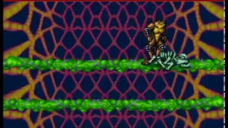 Battletoads [OpenBoR] - real-time playthrough (Revenge quest)