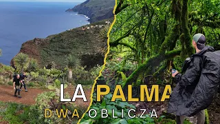 6. Trekking w labiryncie bluszczu i potężne klify 🐉👣 La Zarza, La Palma, Wyspy Kanaryjskie 🔭🏝️🌋