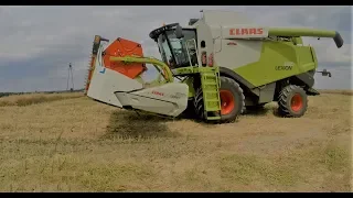 ❗Wielkie żniwa w Wielkopolsce❗1000ha vs 3x Claas|8xFendt|Massey Ferguson|Deutz Fahr