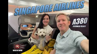 Singapore Airlines A380 Business Class | The BEST Seats | Dog on a Plane | Tokyo to Singapore SQ637