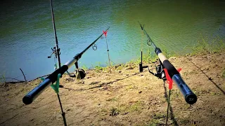 Daiwa N'Zon S - Poklon od braće TWINS FEEDER FISHING - Prvo pecanje sa novim štapovima na Tamišu 😎😎😎