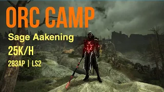 BDO Sage Awakening | Orc Camp | 25K/H | Grinding Casually