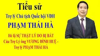 Tiểu sử PHẠM THÁI HÀ - Hé lộ SỰ THẬT LÝ DO BỊ BẮT của Trợ Lý ông VƯƠNG ĐÌNH HUỆ - PHẠM THÁI HÀ