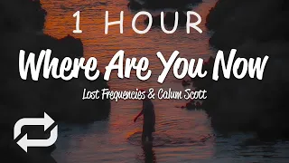 [1 HOUR 🕐 ] Lost Frequencies - Where Are You Now (Lyrics) ft Calum Scott