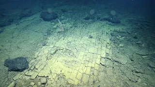 Follow the 'Yellow Brick Road' to Geologic Features of Liliʻuokalani Ridge Seamounts | Nautilus Live