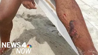 New Shark Sighting at Long Island Beach, Day After Possible Shark Bite | News 4 Now