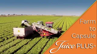 Farm to Capsule - Farm Fresh Nutrition | Juice Plus+