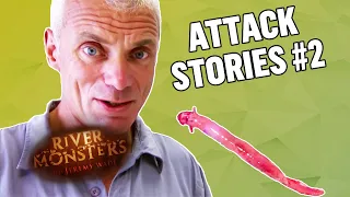 The Best ATTACK STORIES! (Part 2) | COMPILATION | River Monsters