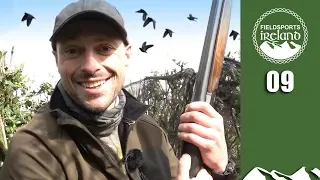 Shooting grey crows  - Fieldsports Ireland, episode 9
