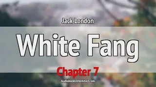 White Fang Audiobook Chapter 7