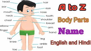 Human Body Parts Name in English and Hindi with Picture I शरीर के अंगो के नाम | Human Body Parts |