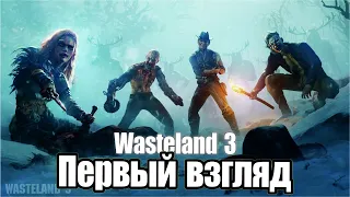 Wasteland 3 Первый взгляд