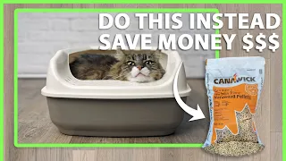 YOU'RE DOING CAT LITTER WRONG (Save Money)