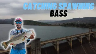 Bank fishing at nagle dam South Africa