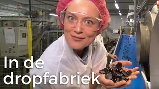 How real liquorice is made | The Apple Core