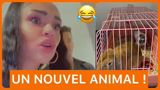 SISIK OFFRE UN NOUVEL ANIMAL À JAZZ ET LAURENT 🤣😂 !