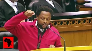 "The Springboks Must Fall" Dr Ndlozi And EFF - Parliament