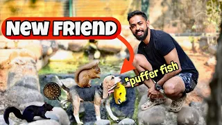 💥Dog meets Squirrel 🐿️ | ഇവൻ അണ്ണാൻ കുഞ്ഞിനെ തിന്നുവോ ആവൊ!!!