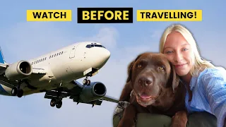 International Travel with a Dog (Everything you need to know)