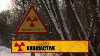 Волки из Чернобыля