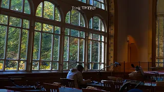 you’re studying in a large library to prepare for the final exam | Dark academia playlist