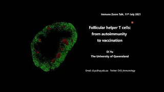 Follicular helper T cells: from autoimmunity to vaccination