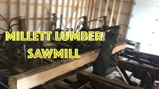 Circular Sawmill Sawing Spruce