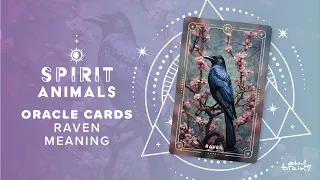 Raven Spirit Animal | Symbolism & Meaning Explained