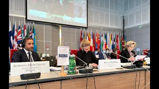 Address by OSCE Secretary General Helga Maria Schmid at OSCE PA's Winter Meeting