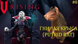 V Rising - Босс: 08/37 Гнилая Крыса (Putrid Rat)