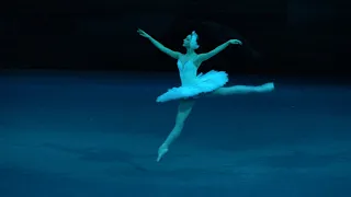 Eva Sergeyenkova and Dmitry Smilevsky in ballet Swan Lake