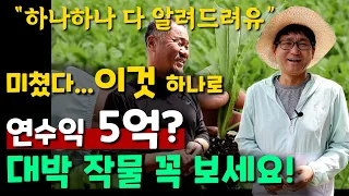 미쳤다,,, 이것 하나로 연수익 5억? 대박 작물 꼭 보세요!