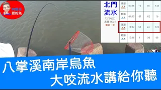 【阿賢爸】愛釣魚 Ep.73 八掌溪南岸烏魚 大咬流水講給你聽 (珠鉤釣法阿賢爸大咬釣組) [半字幕]