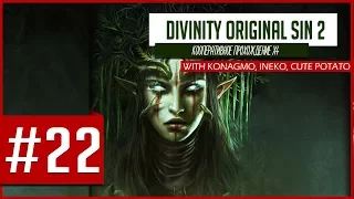 Divinity: Original Sin 2 - Кооперативное сетевое прохождение! Третий акт! [Стрим #22]