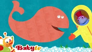 Funny Kids Video of Animals, Cars and Music | 1 Hour Compilation | @BabyTV