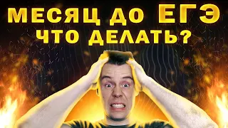 Что делать за месяц до ЕГЭ? Распределяем время